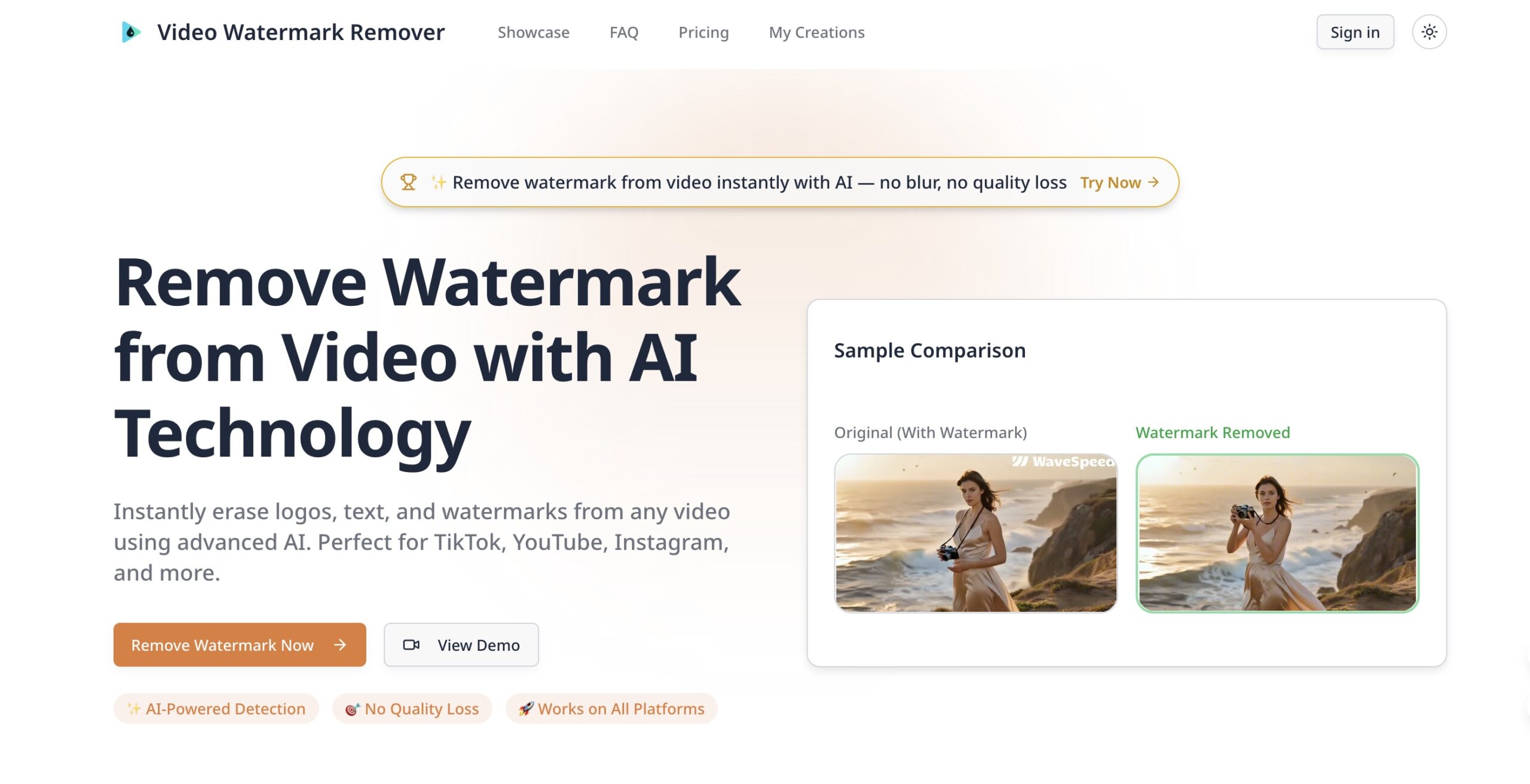 AI Video Watermark Remover