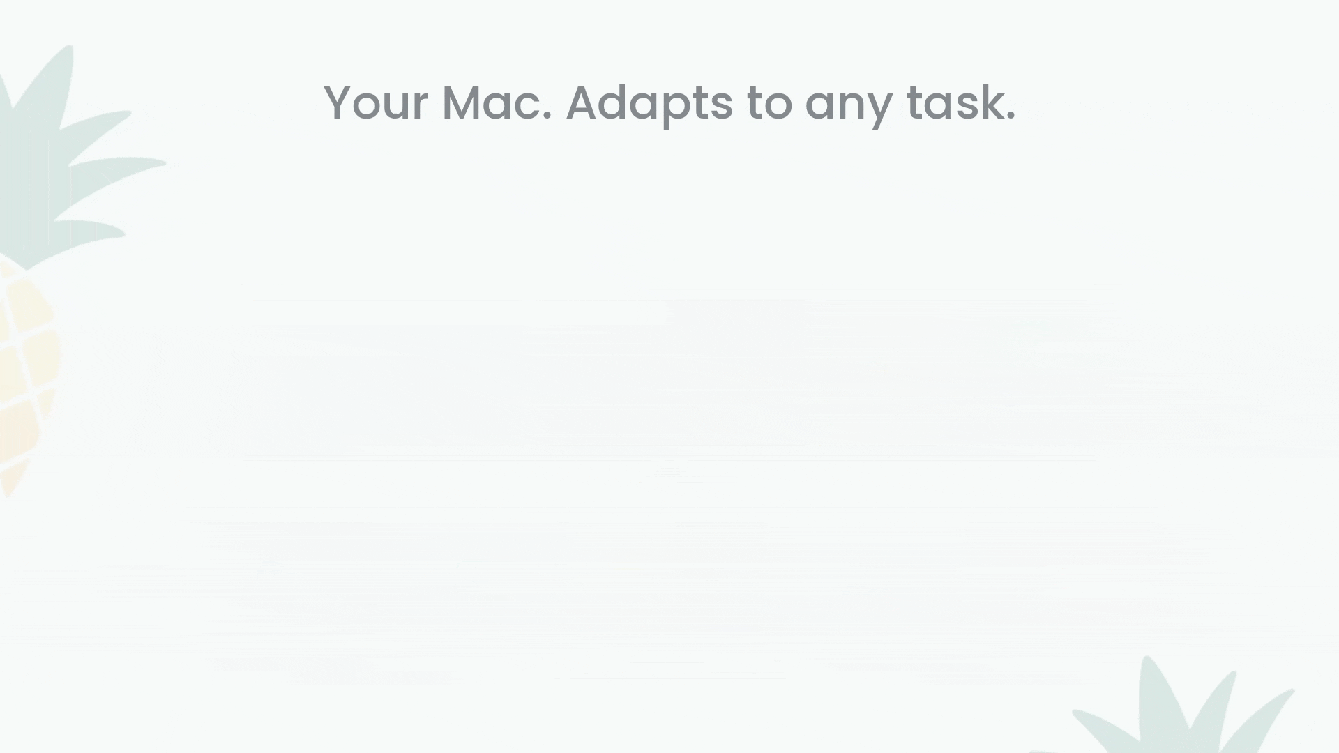 Pineapple Kamil Daniel